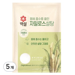 CJ 백설 하얀 자일로스설탕, 2kg, 5개