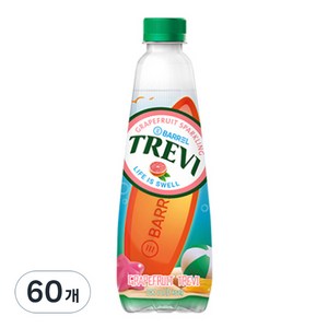 트레비 자몽 탄산음료, 500ml, 60개