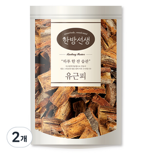 한방선생 유근피 느릅나무 뿌리껍질, 300g, 2개