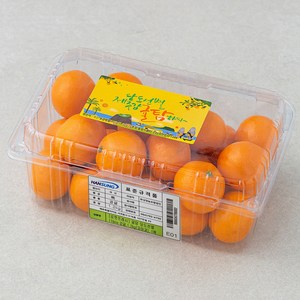 귤탐 당도선별 11bix 감귤, 1.2kg(꼬마과), 1팩