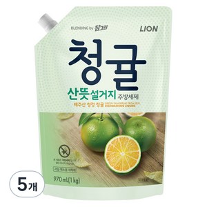 참그린 청귤 산뜻 설거지 주방세제 리필, 970ml, 5개