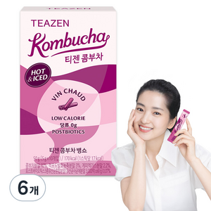 티젠 뱅쇼 콤부차, 5g, 10개입, 6개