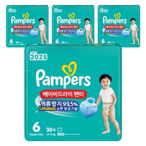 팸퍼스 2025 베이비드라이 팬티형 기저귀 아동공용, 6단계, 120매