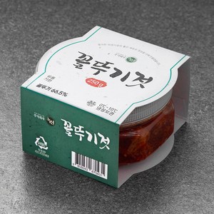 녹선 꼴뚜기젓, 250g, 1개