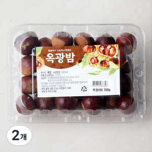 아산율림 옥광 대, 700g, 2개