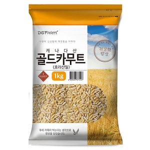 대구농산 건강한밥상 골드 카무트 호라산밀, 1kg, 1개