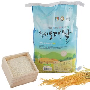 비엠미곡 2024년산 햅쌀 철원오대쌀 DMZ 대마리, 10kg, 1개