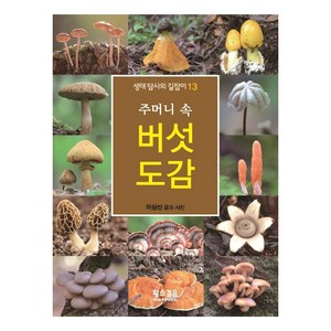 주머니 속 버섯 도감, 황소걸음, 이상선