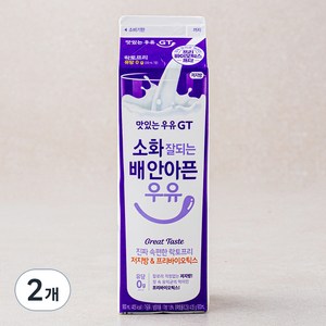 맛있는우유GT 소화 잘되는 배 안아픈 락토프리우유 저지방 & 프리바이오틱스, 900ml, 2개