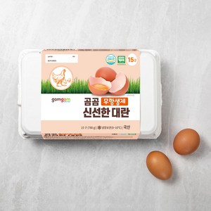 곰곰 무항생제 신선한 대란, 15구, 1개