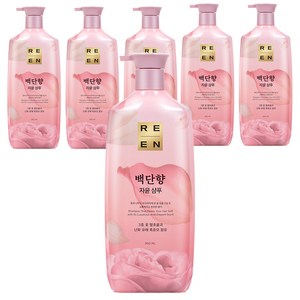 리엔 자윤 백단향 샴푸 프루티 피오니 향, 950ml, 6개