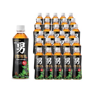 광동진한헛개차, 340ml, 60개