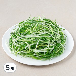 국내산 친환경 파채, 200g, 5개