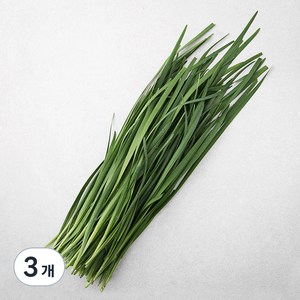 국내산 유기농 부추, 200g, 3개