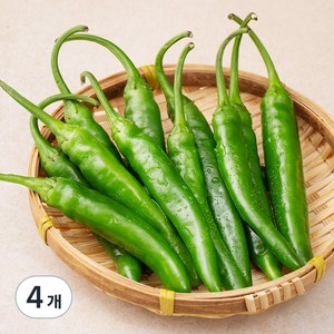 국내산 친환경 청양고추, 100g, 4개