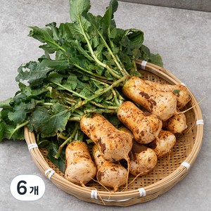 국내산 알타리무, 1kg, 6개, 1kg