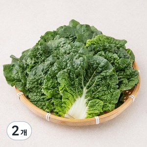 국내산 쌈추, 200g, 2개