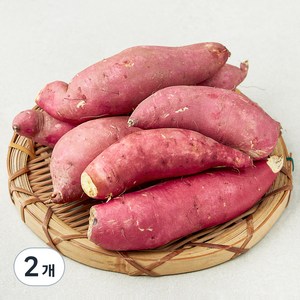 못생겨도 맛있는 꿀고구마(햇), 1.5kg, 2개