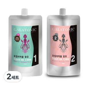 갈라토닉 스퀴드 잉크칼라 새치염색 1제 500ml + 2제 500ml, 3N짙은갈색, 2세트