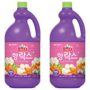 홈스타 향 락스, 2L, 2개