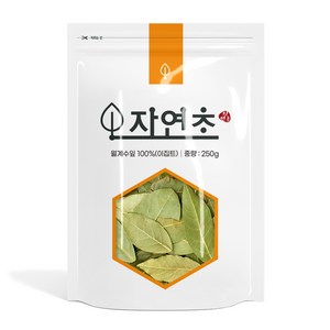 자연초 월계수잎, 250g, 1개