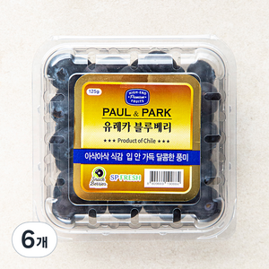 폴앤박 유레카 블루베리, 125g, 6개