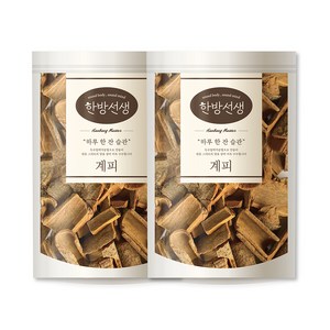 한방선생 사각 계피 특품, 600g, 1개입, 2개