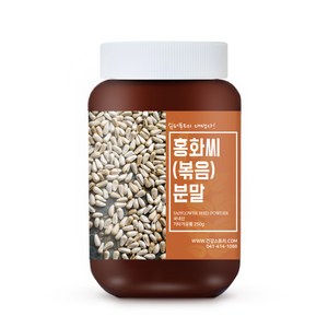 건강스토리 홍화씨 분말(볶음), 250g, 1개