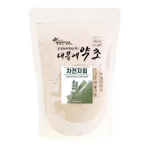 내몸에약초 차전자피 분말, 1개, 400g