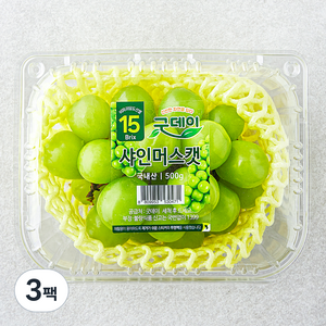 굿데이 당도선별 15brix 비파괴 샤인머스캣, 500g, 3팩