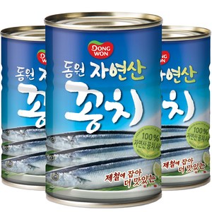 동원 자연산 꽁치 통조림, 300g, 3개