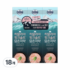 LG생활건강 히말라야 핑크솔트 담은 치약, 100g, 18개