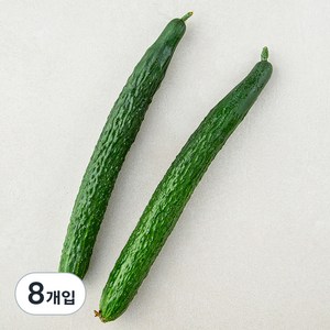 국내산 가시오이, 2개입, 4개