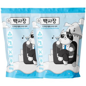 백사장 벤토나이트, 6kg, 2개, 무향