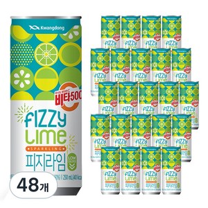 비타500 피지라임, 250ml, 48개