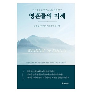 영혼들의 지혜:마이클 뉴턴 연구소 LBL 사례 연구, 앤 클라크 카렌 조이 조안 셀린스케 마릴린 하그리브스, 나무생각