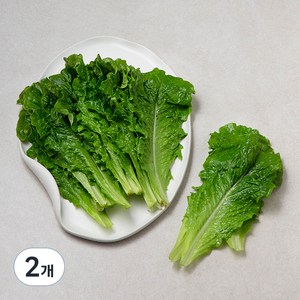 국내산 아삭한 상추, 150g, 2개