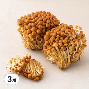 국내산 친환경 갈색 팽이버섯, 400g, 3개