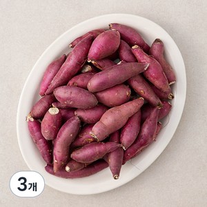 국내산 한입 꿀맛 밤고구마(햇), 1.5kg, 3개