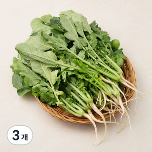 국내산 열무, 1.2kg, 3개