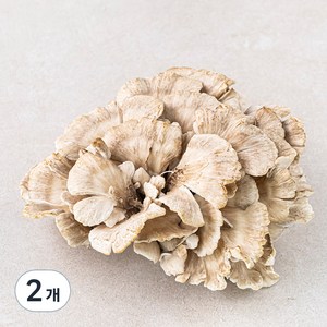 잎새버섯, 120g, 2개