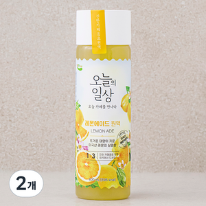 오늘의일상 레몬에이드 원액, 400ml, 2개