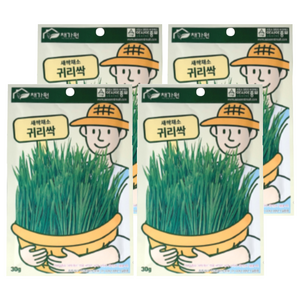 채가원 퍼피가드 싹 캣그라스, 귀리, 30g, 4개