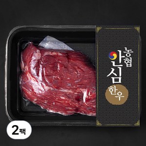 농협안심한우 양지 덩어리 1등급 국거리 수육 장조림용 (냉장), 300g, 2팩