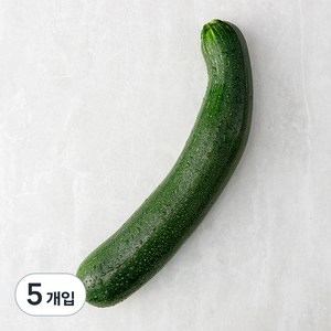 국내산 주키니호박, 1개입, 5개