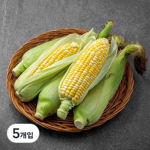 국내산 초당옥수수, 5개입, 1개