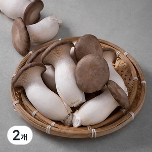 친환경 뿌리가 손질된 새송이버섯, 900g, 2개