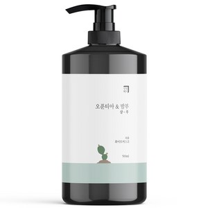 살림백서 오푼티아 앤 밤부 퍼퓸 샴푸 화이트머스크, 500ml, 1개