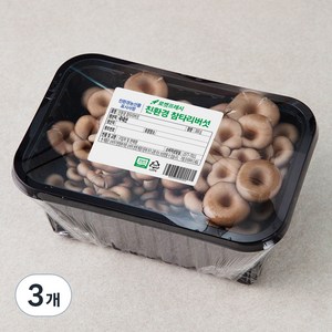 친환경 참타리버섯, 300g, 3개