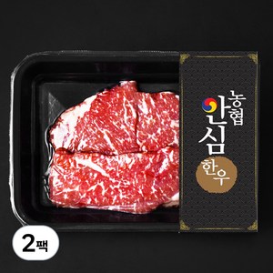 농협안심한우 숙성육 채끝 2등급 구이용 (냉장), 200g, 2팩